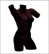 dametorso_sort