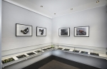 gallerimonter